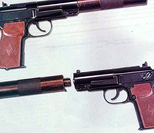 APB püstol (automaatne püstol vaikne): kirjeldus, spetsifikatsioonid ja ülevaated