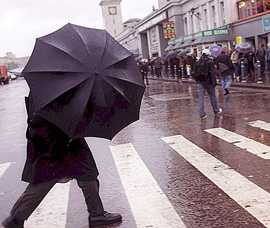 הרוח עלתה במוסקבה: תכונות, השפעה על הסביבה