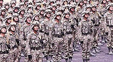 El ejército moderno de Kazajstán: fuerza y ​​armamento