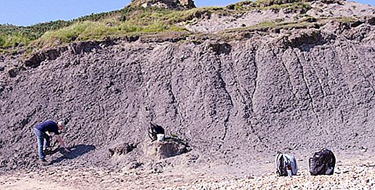 Minerali di argilla: classificazione, composizione, proprietà e applicazioni