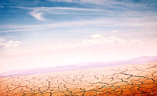 Hogyan lehet túlélni a sivatagban - funkciók, gyakorlati tippek és áttekintések