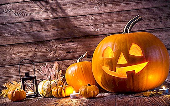Firma jest gotowa zapłacić 1300 USD za oglądanie 13 klasycznych horrorów na Halloween