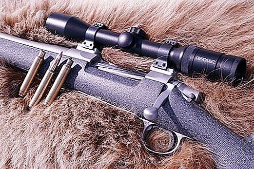 Săn carbine "Elk": đặc điểm và đánh giá