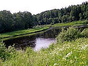 Pasha-floden (Leningrad-regionen). Et godt sted for et godt fiskeri