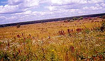 Native open spaces. What is the steppe?