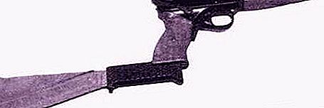 Kosminis pistoletas TP-82 (nuotrauka). Analoginis TP-82 vadinamas „Šernas“