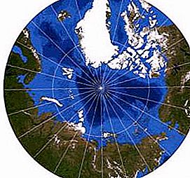 Venäjän arktisen alueen kehitys: historia. Arktisen alueen etsintästrategia