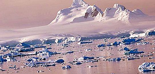 Weddell jūra un tās īpatnības
