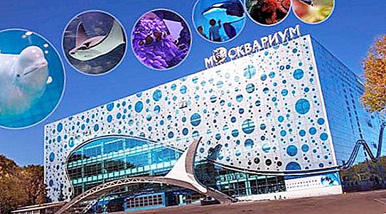 Moskovské akvárium na VDNKh: popis, plán a recenzie návštevníkov
