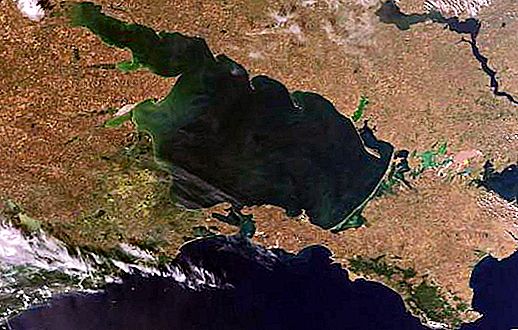 Azak Denizi: alan, derinlik ve yaban hayatı açıklaması