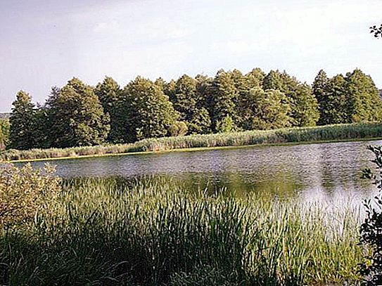 Voronezh region: laghi per la ricreazione e la pesca