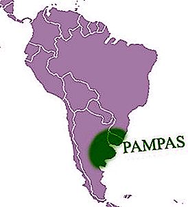 What is a South American pampa?