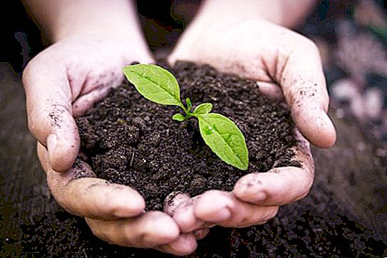 Hygienic significance of the soil. Soil chemistry and sanitary and epidemiological requirements
