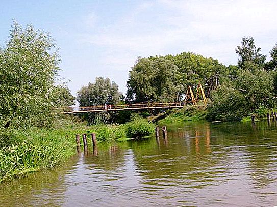 川の最大の支流。 セヴェルスキードネツ-オスコル（川）