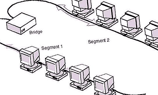 Et segment er en del av et nettverk.