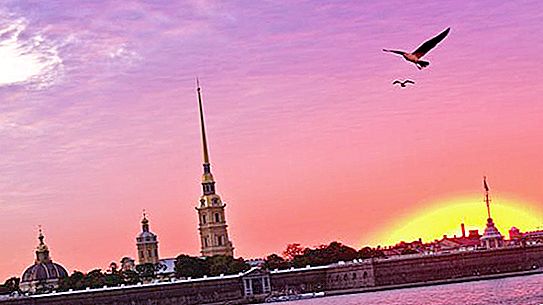 For å vite hva en hvit natt er, må du dra til St. Petersburg