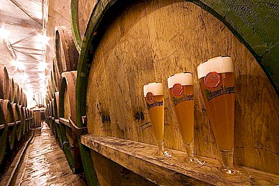 Enzimas maravilhosas do trigo e do fermento: uma variedade de cerveja inventada na Bulgária aumenta o tamanho dos seios das mulheres