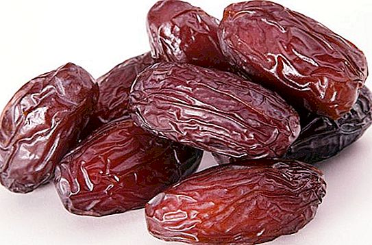 How do dates grow? Find out where dates grow