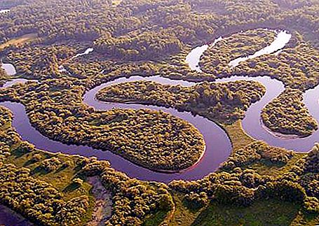 Rezervat Oksky u regiji Ryazan - opis i fotografija
