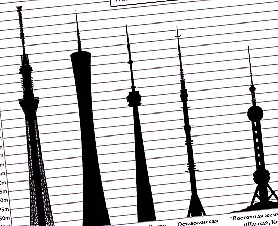 سكاي تري (طوكيو): أطول برج تلفزيوني في العالم