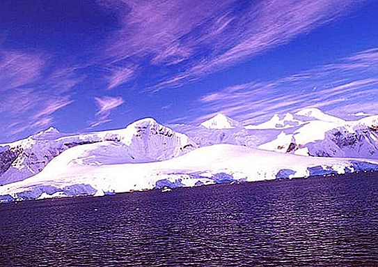 Antarktika: narava. Živalsko in rastlinsko življenje Antarktike