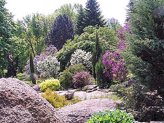 Botanikus kert, Kharkov - az első főváros büszkesége
