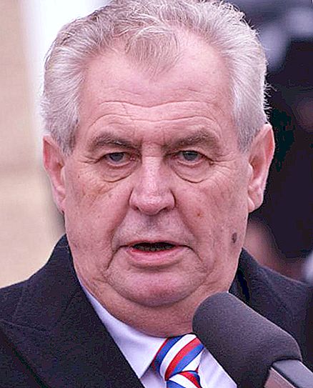 Presiden Czech Milos Zeman. Milos Zeman: aktiviti politik