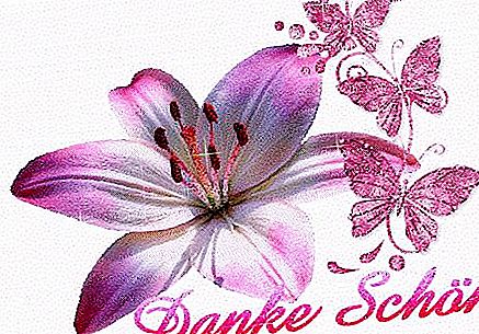 "Danke Sean": bản dịch từ tiếng Đức và các ví dụ sử dụng