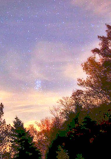 Stozhary - um aglomerado no mapa do céu estrelado