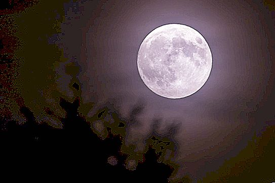 満月は人体と精神にどのように影響しますか：研究によると