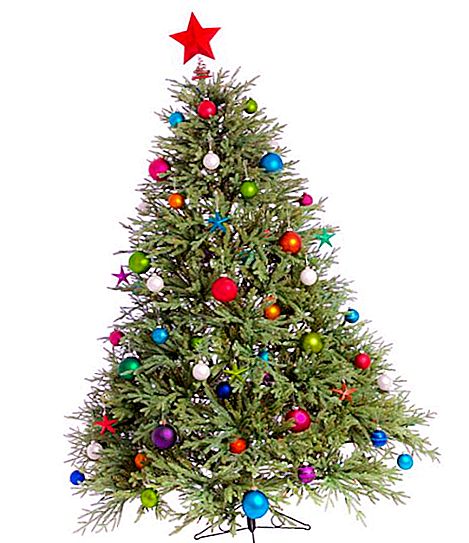 Where did the tradition of decorating the Christmas tree come from: legends and facts