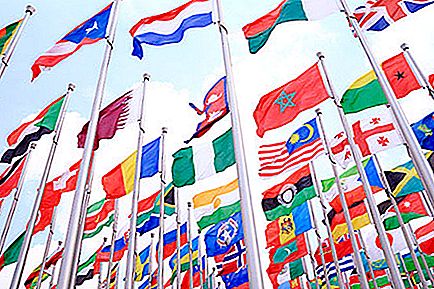 Wie viele Länder der Vereinten Nationen sind bereit, die Charta der Organisation einzuhalten?