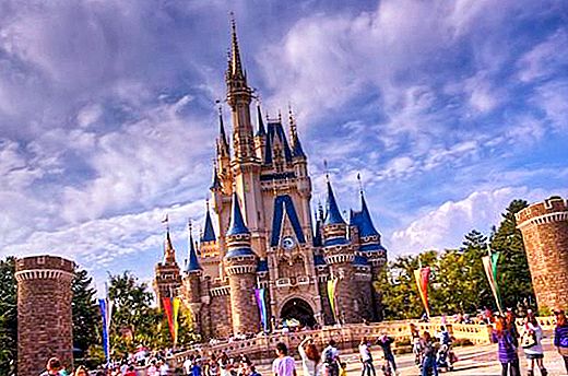 Tokyo Disneyland (Japan): Beschreibung, Geschichte, Unterhaltung und Bewertungen von Touristen