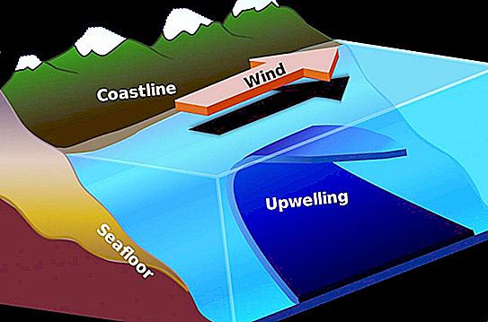 Co to jest upwelling? Definicja pojęcia. Widoki i strefy upwellingu