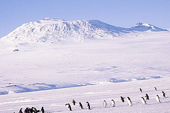 Mga Bulkan ng Antarctica - Mga Di-natukoy na lihim