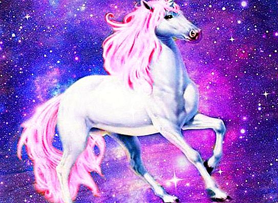 Unicorn: a symbol and its meaning. Unicorn in Heraldry