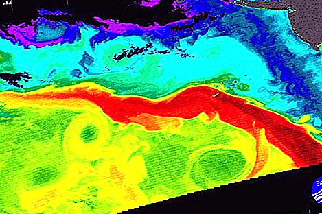 The Gulf Stream stops. Is humanity waiting for a disaster?