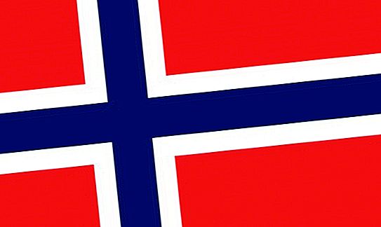 Norges parlament: funksjoner, struktur og funksjoner