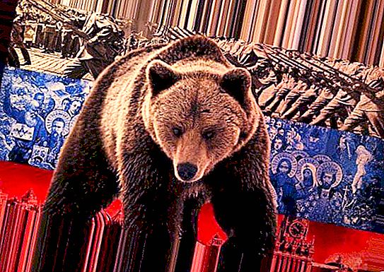 Stereotip tentang Rusia dan Rusia. Beruang dengan balalaika. Boneka bersarang Rusia