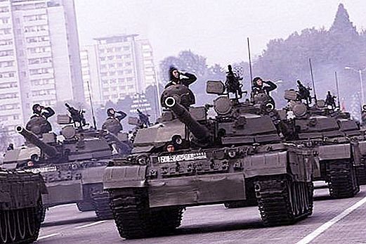 כוחות מזוינים של דב"ק ודרום קוריאה: השוואה. ההרכב, כוחו, חימושו של צבא DPRK