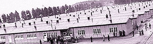 Április 11. - A náci koncentrációs táborokban foglyok szabadon bocsátásának napja (forgatókönyv)
