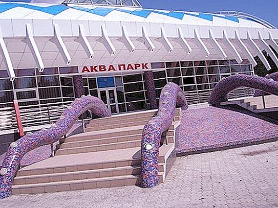 Aquapark v Kostanay "Octopus": sprej a zábava po celý rok!