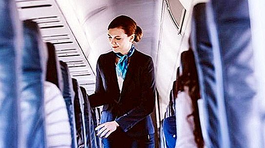 Însoțitorul de zbor a așezat pasagerul înconjurător cu o frază. Salon a aplaudat fapta ei cinstită