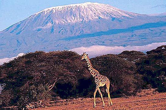 Apakah gunung tertinggi di Afrika? Kilimanjaro: keterangan, foto