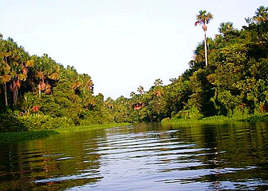 Orinoco - jõgi Venezuelas