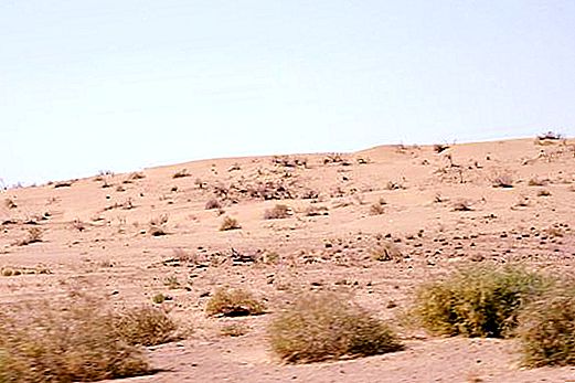 Sa mạc Karakum (Turkmenistan): mô tả, tính năng, khí hậu và sự thật thú vị