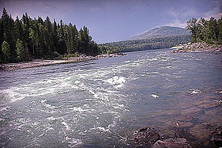Sungai Kazyr: foto, spesifikasi dan ciri-ciri