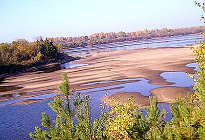 Sungai Mologa: description. Oblast Vologda, Sungai Mologa