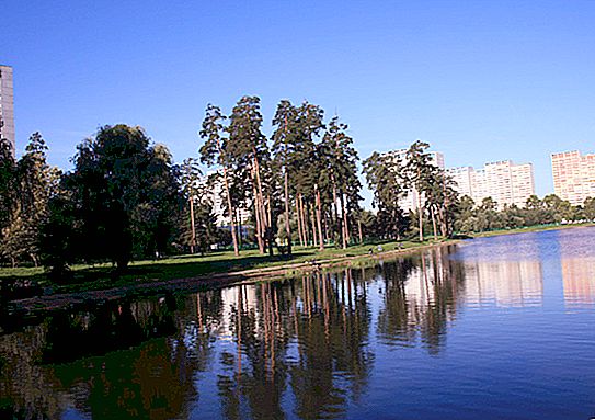 Zelenograd: parkok, zöld területek