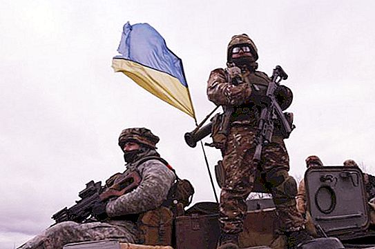 Ukrainas senaste vapen. Vilka vapen används i Ukraina